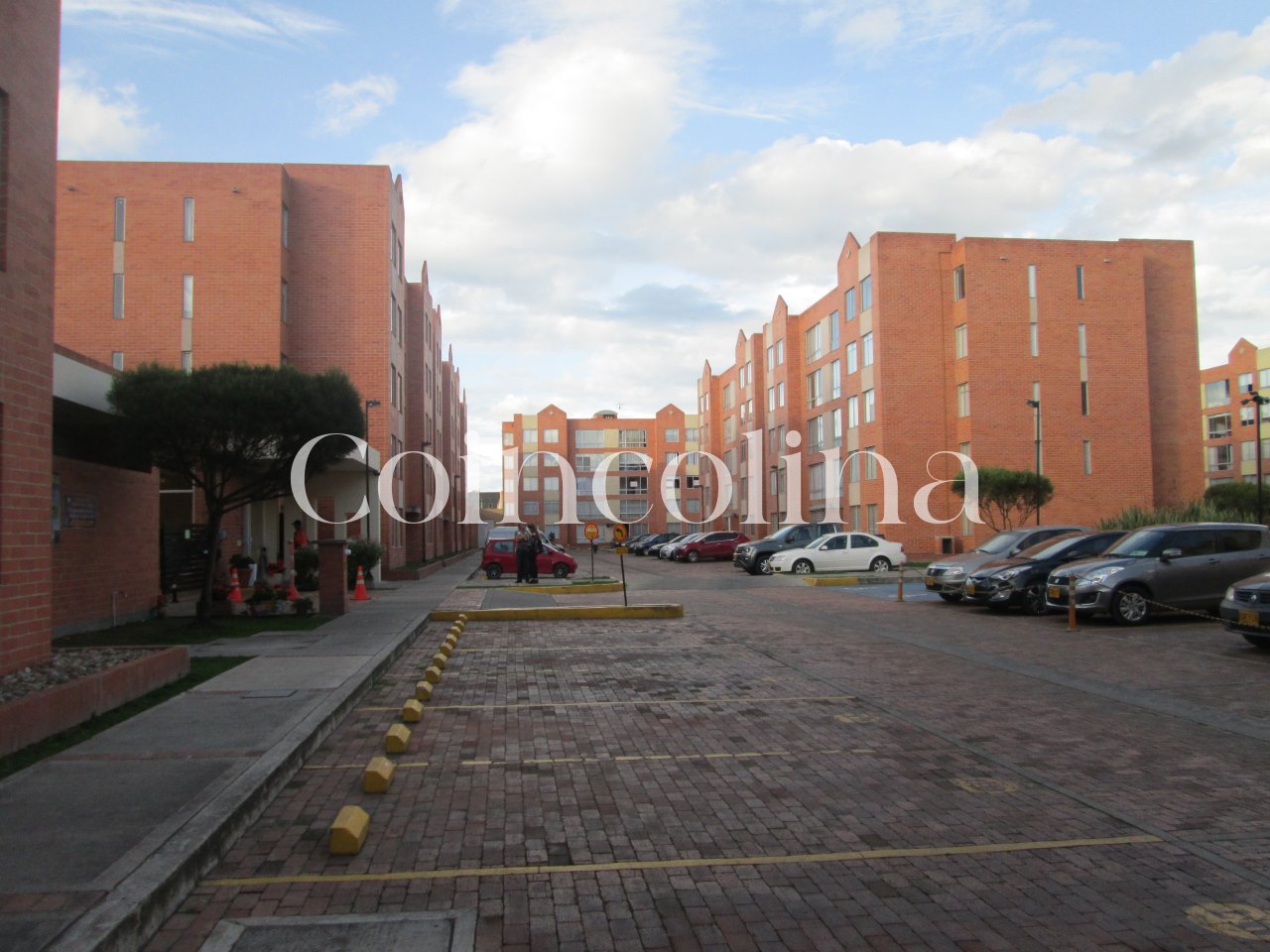 Imagen 3